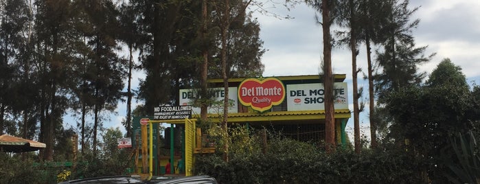 Delmonte Freshness Shop is one of Must Visit.