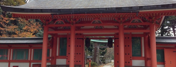 出石神社 is one of 八百万の神々 / Gods live everywhere in Japan.