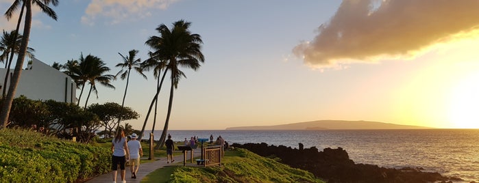 Maui Favorites