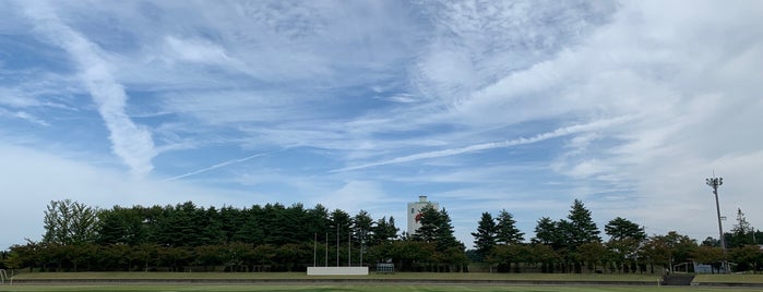 五戸町ひばり野公園陸上競技場 is one of サッカースタジアム(その他).