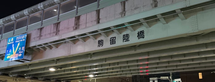 駒留陸橋交差点 is one of 環状七号線（環七）.