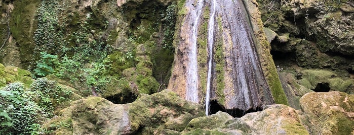 Бачковски водопад is one of Водопади.