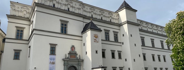 Palace of the Grand Dukes of Lithuania is one of dar nebandyta Vilniuje.