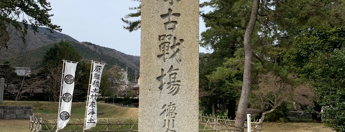 徳川家康最後陣地 is one of 城郭・古戦場.