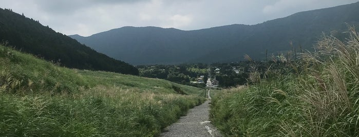 仙石原湿原植物群落 is one of 神奈川.