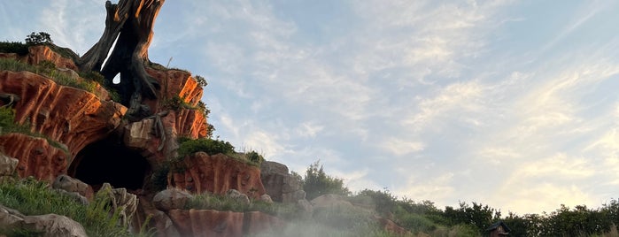 Splash Mountain is one of Vic 님이 좋아한 장소.