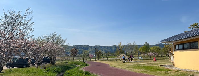 南陽市中央花公園 (ドリームランド) is one of パブリック.