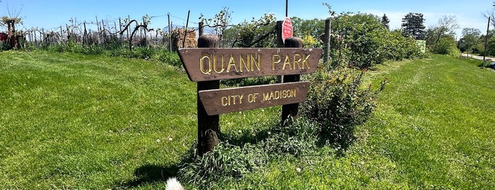 Quann Dog Park is one of pup day out.