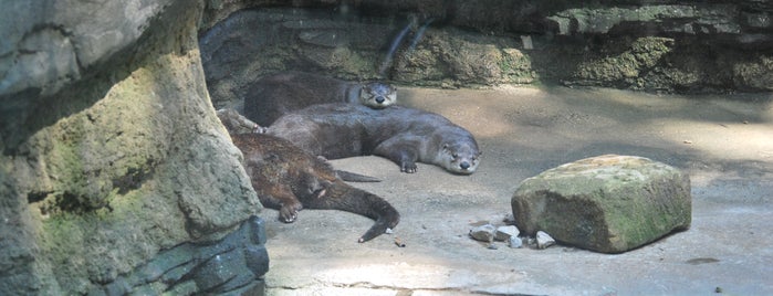 West Virginia State Wildlife Center is one of Favorites: North Central WV.