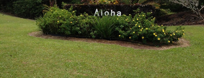 Hilo International Airport (ITO) is one of USA Hawaii Big Island.