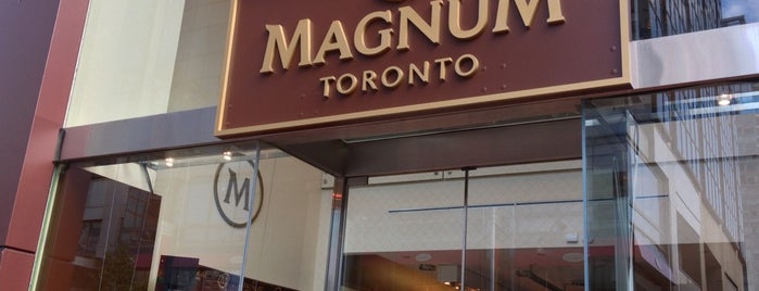 Magnum Pleasure Store is one of toronto.