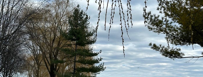 Sugar Beach is one of Toronto Beaches.