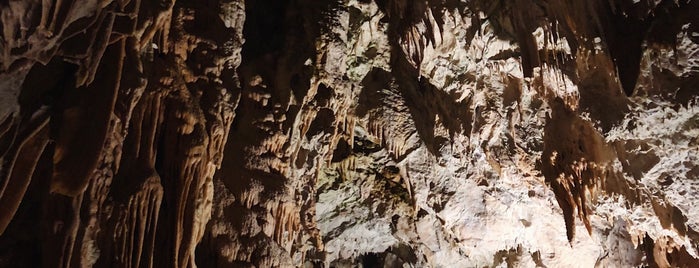 Postojna Cave is one of 3 day trips in Europe 🛩️.