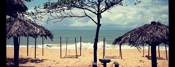 Pousada Coco Brasil is one of Tempat yang Disukai Thibaud.