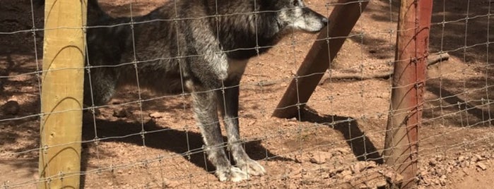 Colorado Wolf & Wildlife Center is one of Tempat yang Disukai Debbie.