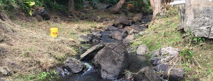 Pu'unui Community Park is one of places to hang.