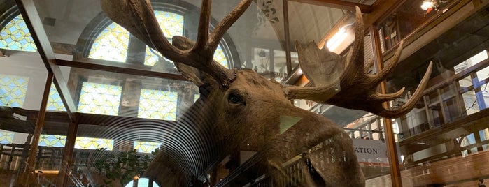 Fairbanks Museum & Planetarium is one of Helena’s Museums.