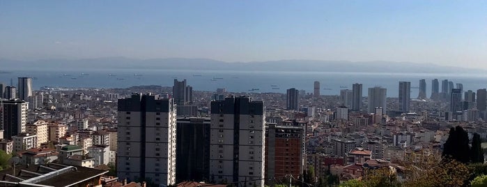 Yakacık is one of 2019 Serkan Yeni.