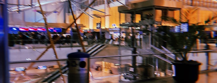 RDU - Terminal 2 Security Checkpoint is one of Frontier Airlines.