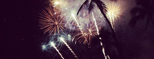 Fireworks Over the Lagoon is one of Locais curtidos por EunKyu.