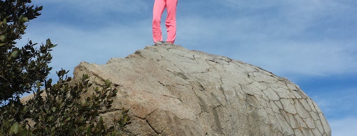Mt. Rubidoux Cross is one of Lugares favoritos de Katy.