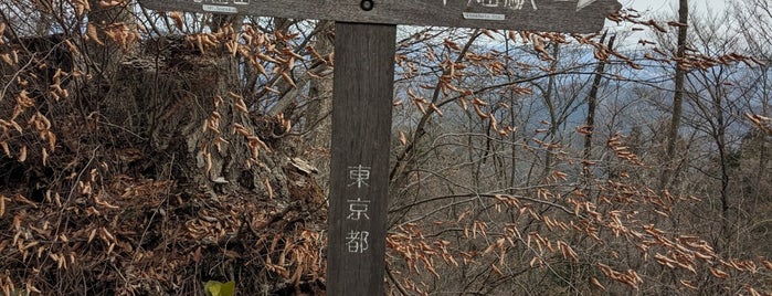 高水山 is one of 日本の🗻ちゃん(⌒▽⌒).