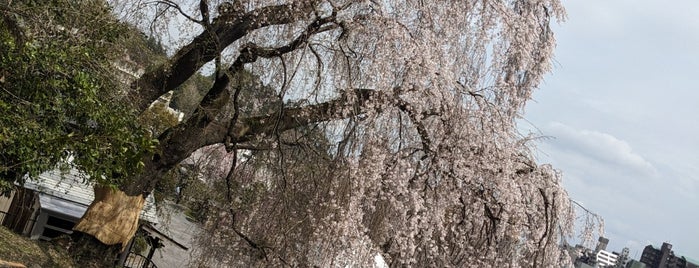 梅岩寺 is one of Accessing the Akashic Records.