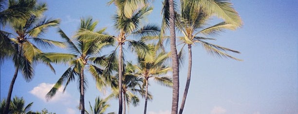 HomeWorld Kailua-Kona is one of Lugares favoritos de Todd.