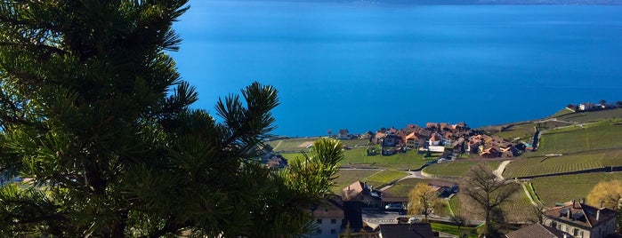 Lavaux Vignoble en Terrasses | Lavaux Vineyard Terraces is one of All-time favorites in Switzerland.