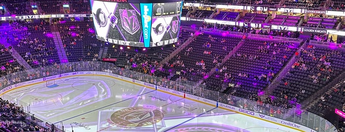 T-Mobile Arena is one of nhl.arenas.