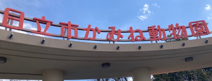 かみね動物園 is one of 施設.