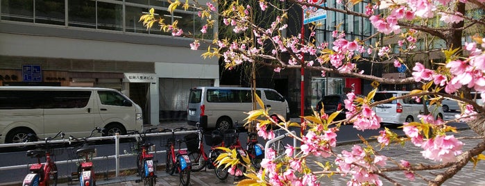 B2-02 Yanagi-dori St. (In front of TOKYO SQUARE GARDEN) - Tokyo Chuo City Bike Share is one of 中央区コミュニティサイクル - Tokyo Chuo City Bike Share.