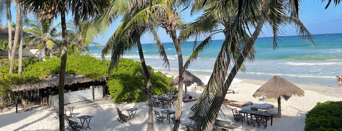 Luv Tulum is one of Mexico 🇲🇽.