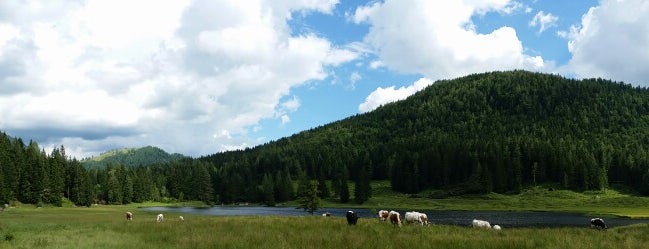 Seewaldsee is one of Salzburger Land / Österreich.