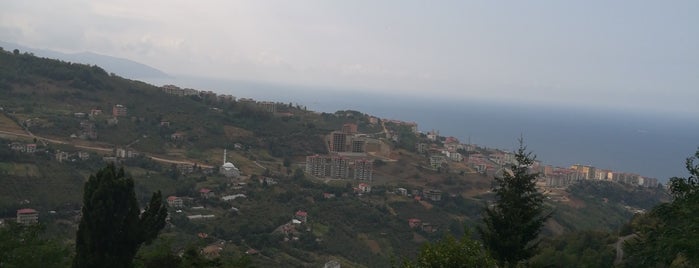 Saraylar Köfte Salonu is one of Trabzon.