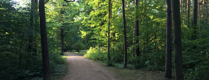 Blasewitzer Waldpark is one of Dresden.