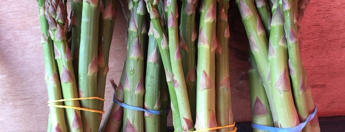 Stroud Farmers' Market is one of Stroud.