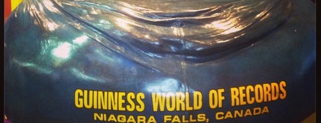 Guinness World Records Museum is one of Niagara Falls.