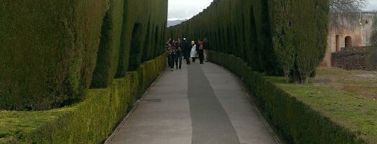 Bosque de La Alhambra is one of Javier : понравившиеся места.