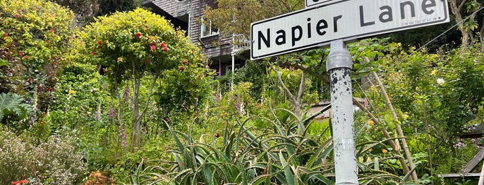 Napier Lane is one of SF.