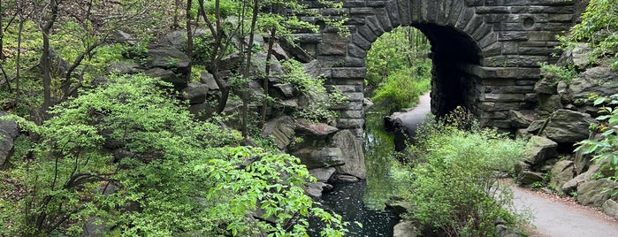 Glenspan Arch is one of Central Park.