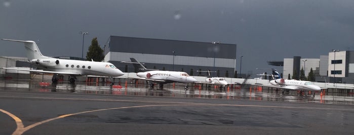 Aero Angeles is one of Aviación en México.