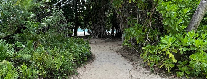 Palawan Beach is one of Singapur.