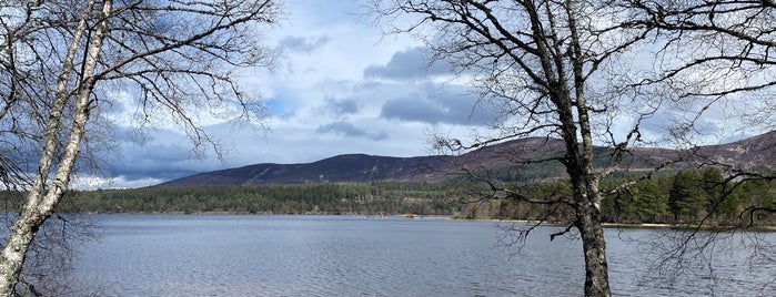 Loch Morlich is one of scot.