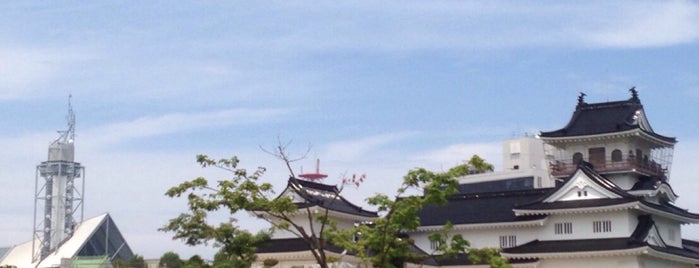 Toyama Castle Park is one of Japan-Hocklick.