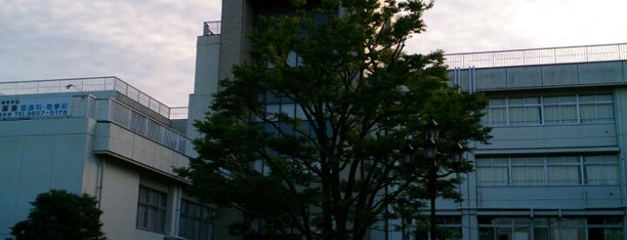 東京都立葛飾商業高等学校 is one of 都立学校.