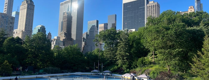 Wollman Rink is one of to-do @ new york.