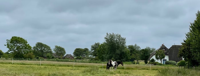 Hof Hansen is one of Sylt im Herbst.