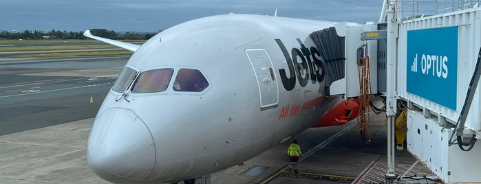 Gate 36 is one of Sydney Airport Watchlist.