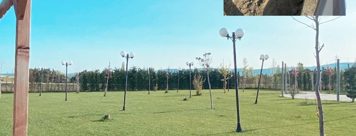 Başarır At Çiftliği is one of 2019 kasım.